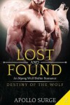 Book cover for Lost and Found