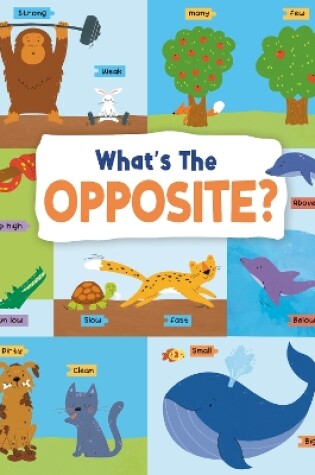 Cover of What's the Opposite?