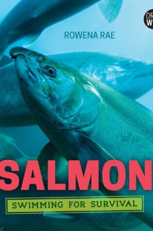 Cover of Salmon