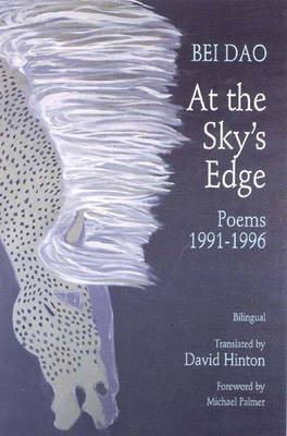 Book cover for At the Sky's Edge