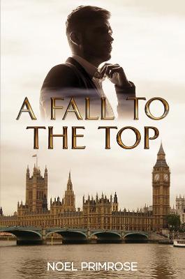 Book cover for A Fall to the Top