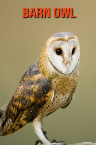 Cover of Barn owl