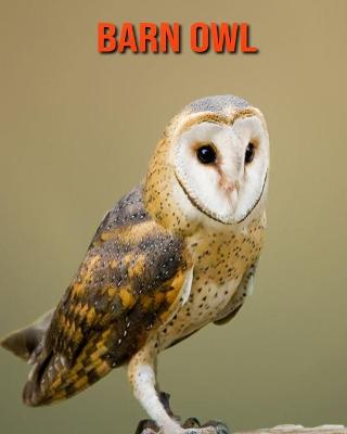 Book cover for Barn owl