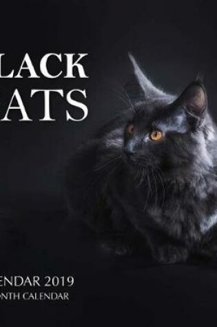 Cover of Black Cats Calendar 2019