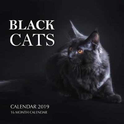 Book cover for Black Cats Calendar 2019