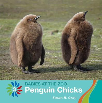 Book cover for Penguin Chicks