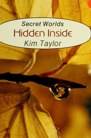 Cover of Hidden Inside