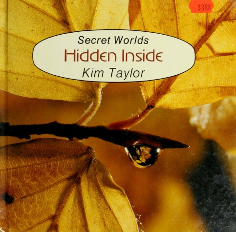 Book cover for Hidden Inside