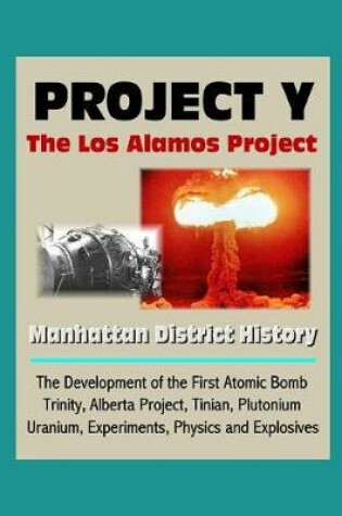 Cover of Project Y