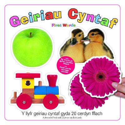 Cover of Geiriau Cyntaf/First Words