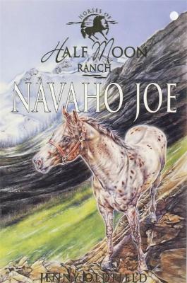 Cover of Navaho Joe