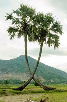 Book cover for Lush Green View of Two Palm Trees and a Mountain Landscape Journal