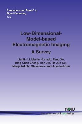 Book cover for Low-Dimensional-Model-based Electromagnetic Imaging