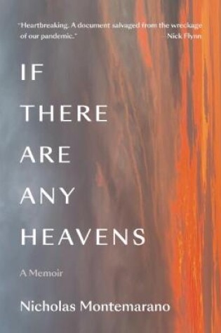 Cover of If There Are Any Heavens