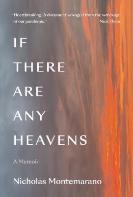 Book cover for If There Are Any Heavens