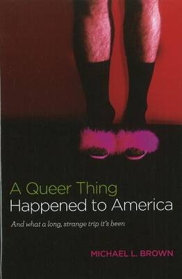 Book cover for A Queer Thing Happened to America