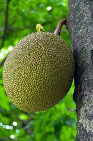 Cover of Jakfruit (Jack Fruit) on a Tree Journal