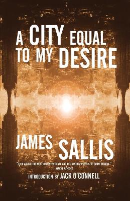Book cover for A City Equal to My Desire