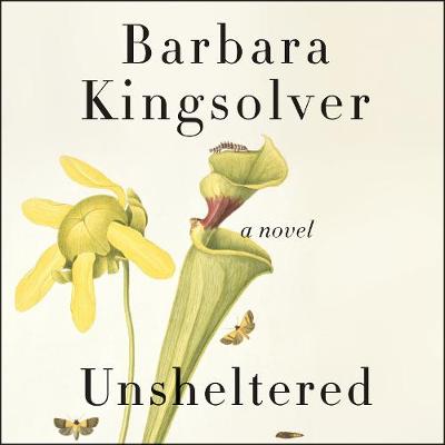 Book cover for Unsheltered
