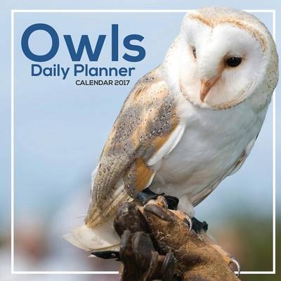 Book cover for Owls Daily Planner Calendar 2017