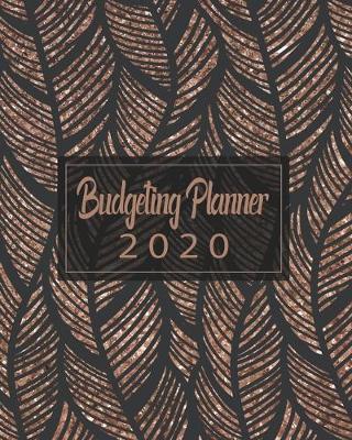 Book cover for Budgeting Planner 2020