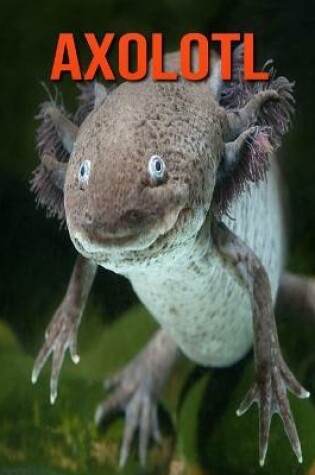 Cover of Axolotl