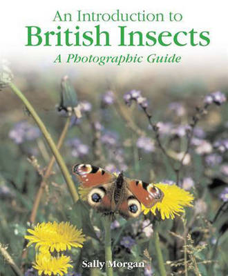 Book cover for An Introduction to: British Insects