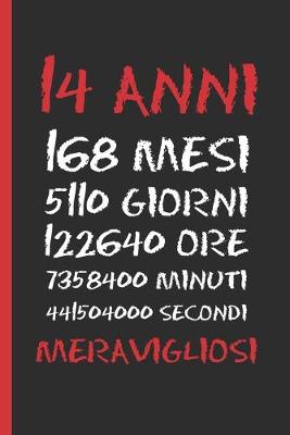 Book cover for 14 Anni Meravigliosi