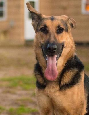 Book cover for German Shepherd