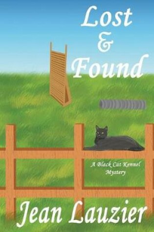 Cover of Lost & Found