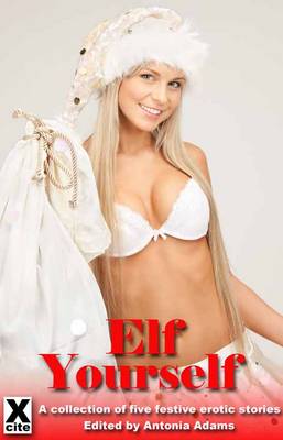 Book cover for Elf Yourself