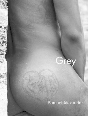 Book cover for Grey