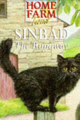 Cover of Sinbad Runaway