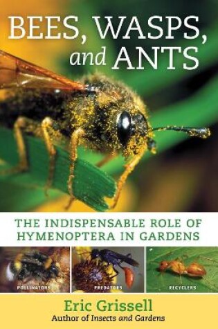 Cover of Bees, Wasps, and Ants