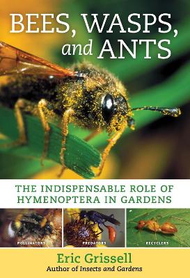 Book cover for Bees, Wasps, and Ants