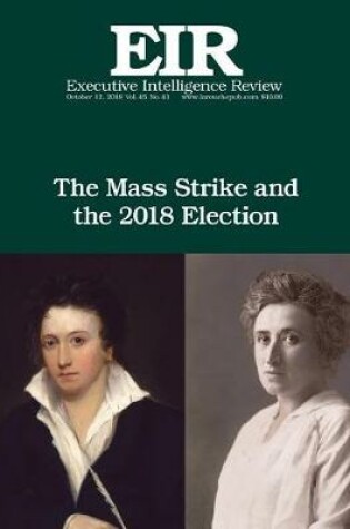 Cover of The Mass Strike and the 2018 Election