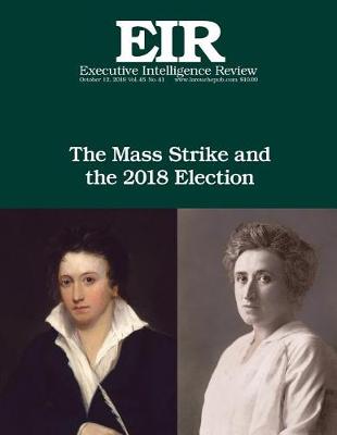 Book cover for The Mass Strike and the 2018 Election