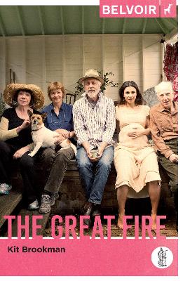 Book cover for The Great Fire