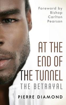 Book cover for At the End of the Tunnel