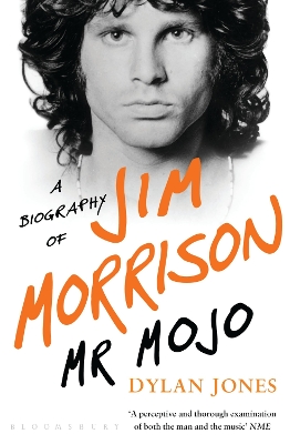 Book cover for Mr Mojo