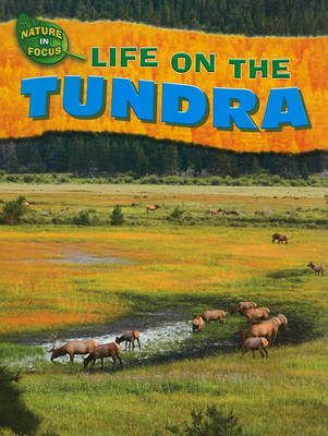 Book cover for Life on the Tundra
