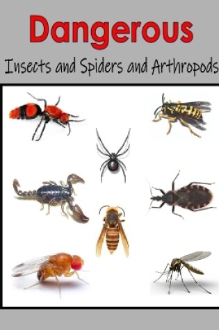 Cover of Dangerous Insects and Spiders and Arthropods