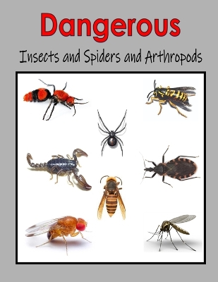 Book cover for Dangerous Insects and Spiders and Arthropods