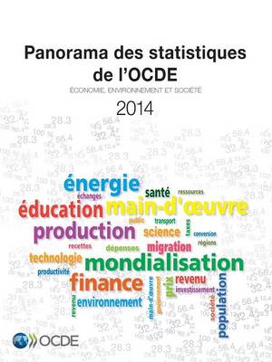 Book cover for Panorama des statistiques de l'OCDE 2014