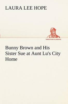 Book cover for Bunny Brown and His Sister Sue at Aunt Lu's City Home