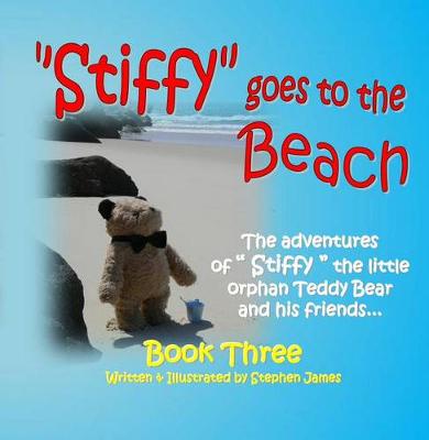 Book cover for Stiffy Goes to the Beach