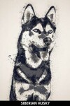 Book cover for Siberian Husky