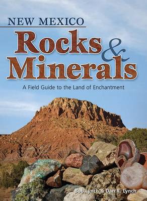 Book cover for New Mexico Rocks & Minerals