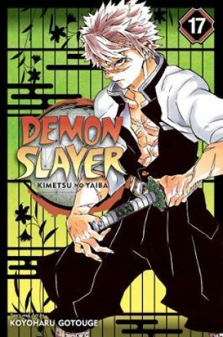 Cover of Demon Slayer: Kimetsu no Yaiba, Vol. 17