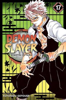 Book cover for Demon Slayer: Kimetsu no Yaiba, Vol. 17